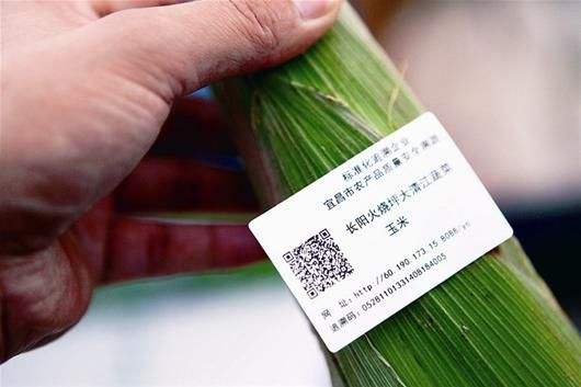蔬菜追溯系统 二维码 溯源