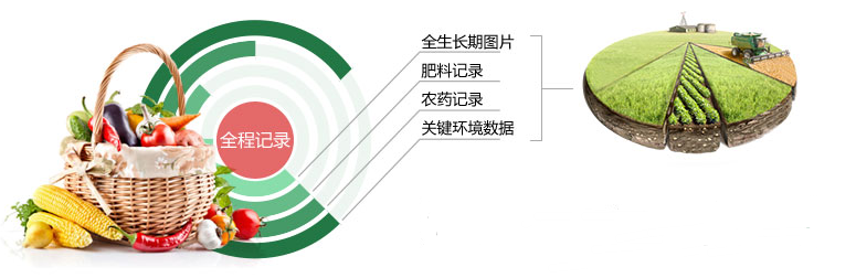 追溯系统