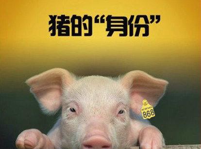 防伪溯源
