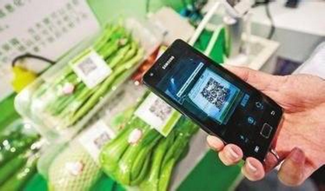 防伪信息追溯标签