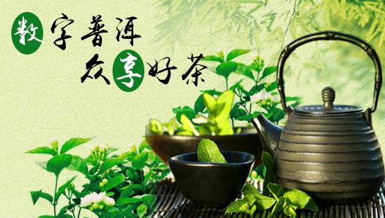 质量安全溯源系统