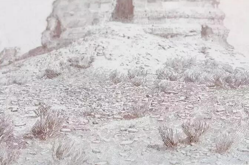 3纽索纹图防伪有哪些图案类型.png