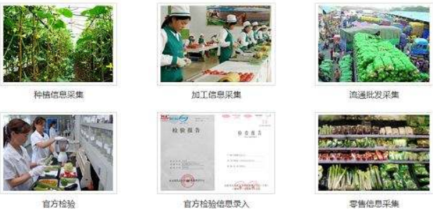 食品防伪溯源系统保障食品安全