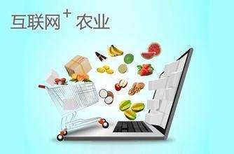 农产品的流通体系,溯源