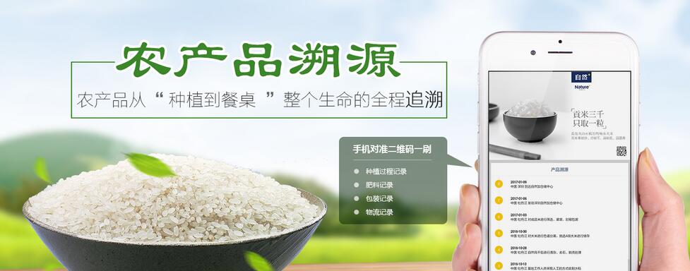 农产品溯源系统