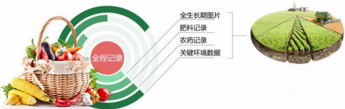 农产品溯源