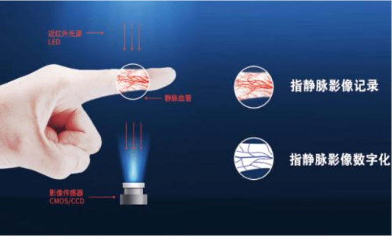 生物识别防伪技术