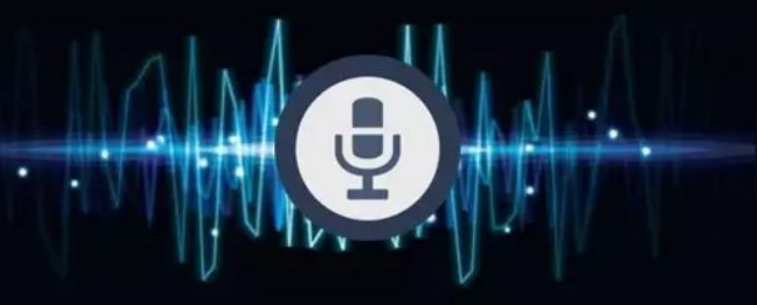 语音识别防伪技术
