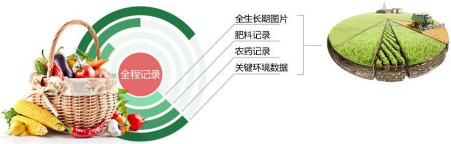 农产品追溯