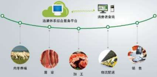 追溯体系