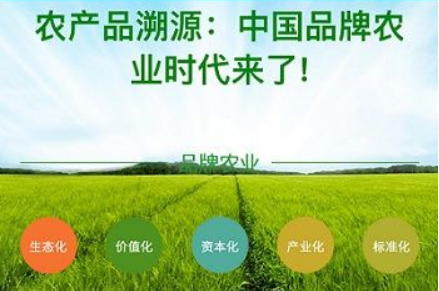 防伪溯源