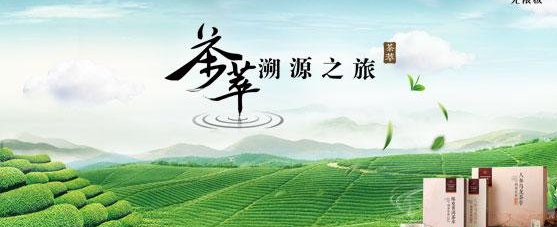 茶叶行业二维码溯源防伪解决方案