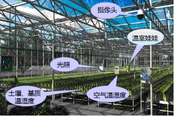 农业物联网