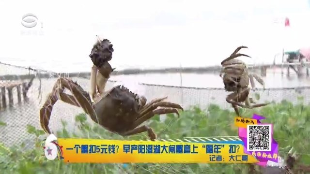 大闸蟹防伪