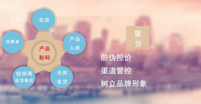 一物一码防伪控价系统应用