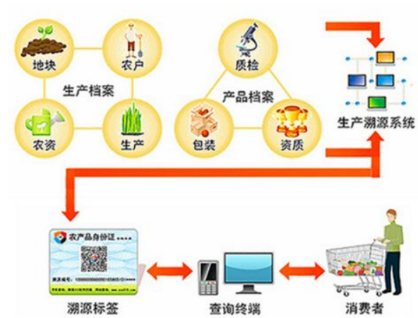 溯源系统