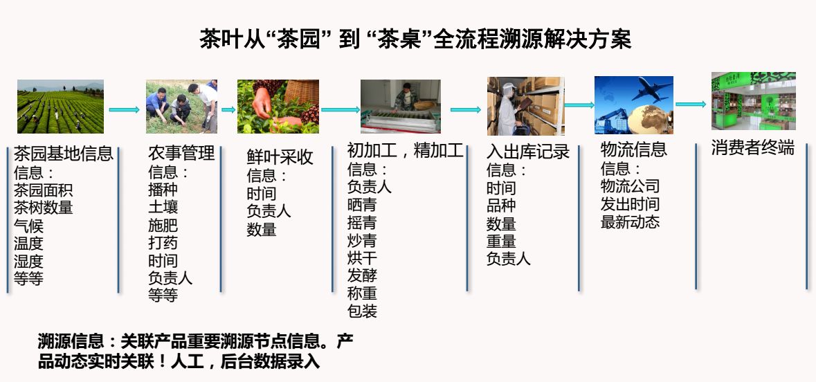 茶叶追溯系统 实现营销闭环