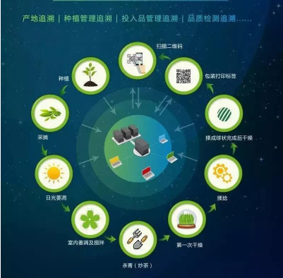 茶叶追溯