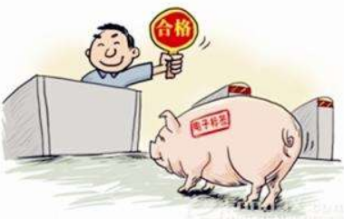 追溯体系