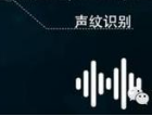 2声纹识别防伪的优势.png