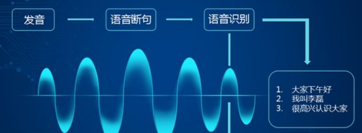 语音识别防伪