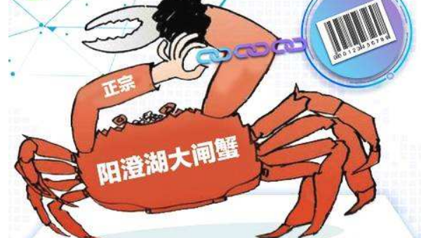 大闸蟹溯源