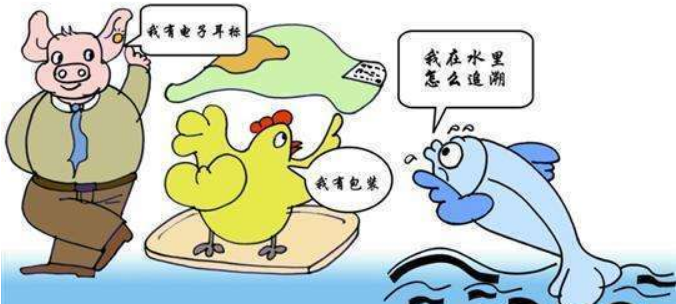 水产品质量安全溯源