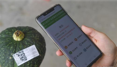 蔬菜追溯系统