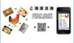 肉类质量防伪溯源