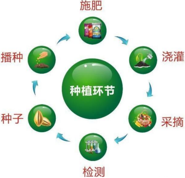蔬菜质量追溯系统