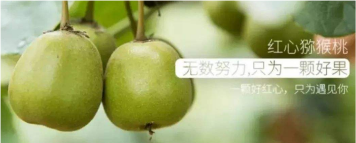 防伪