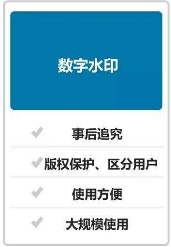 打印数字水印防伪系统